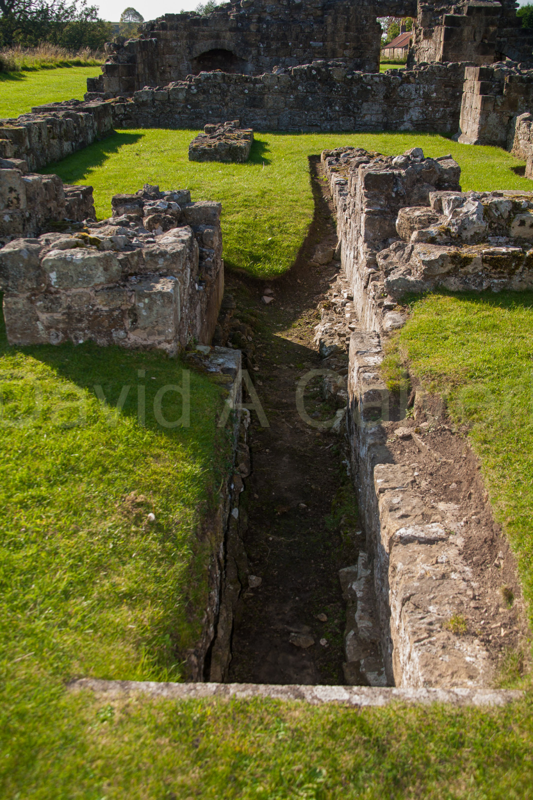 Byland_Abbey-047.jpg
