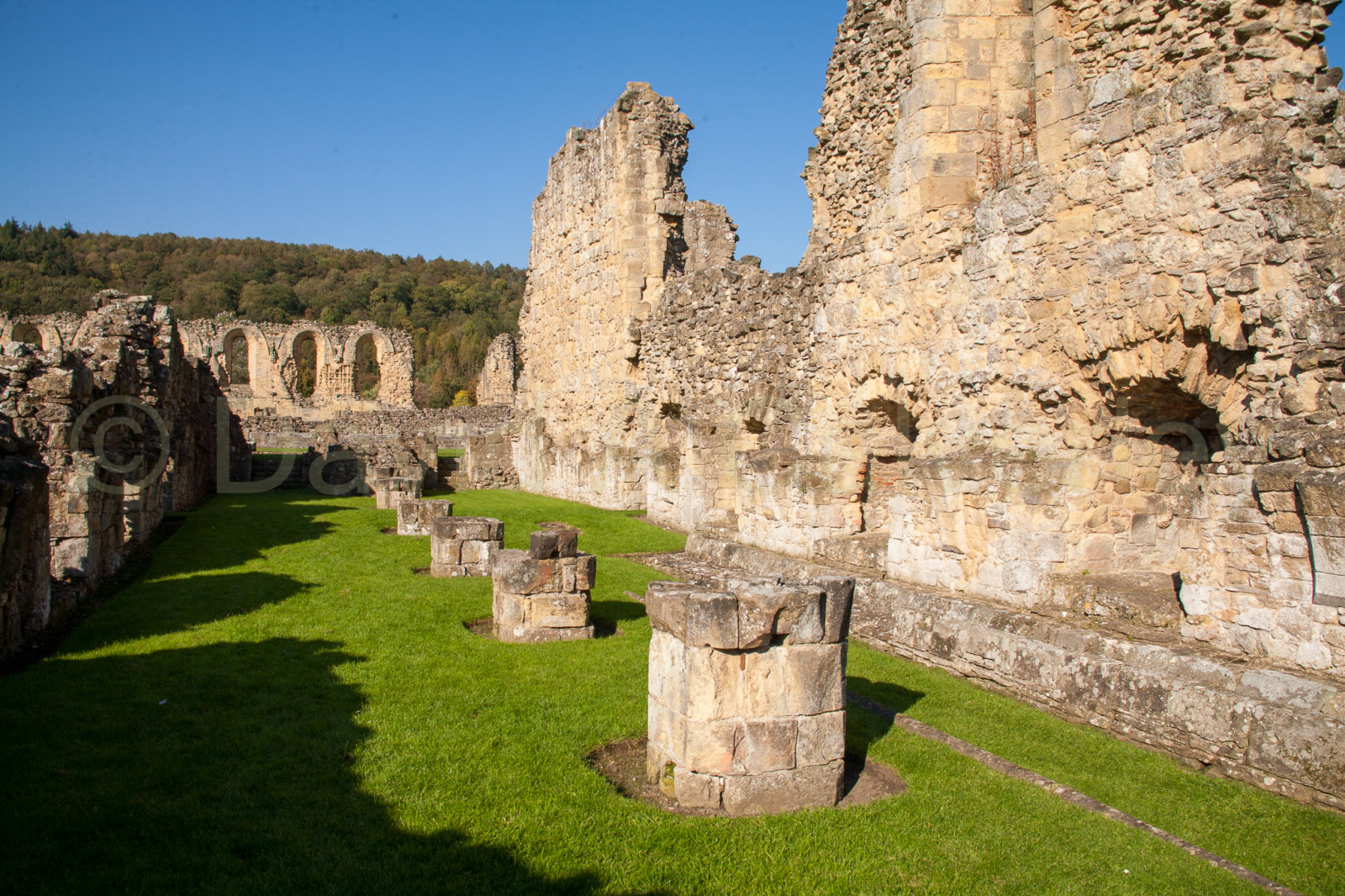 Byland_Abbey-048.jpg