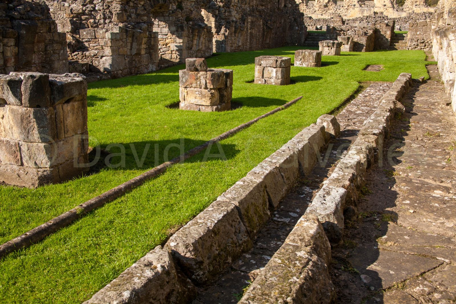 Byland_Abbey-049.jpg
