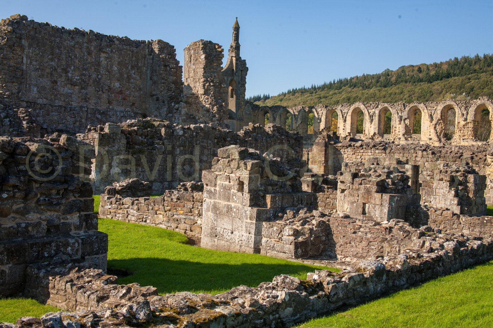 Byland_Abbey-052.jpg