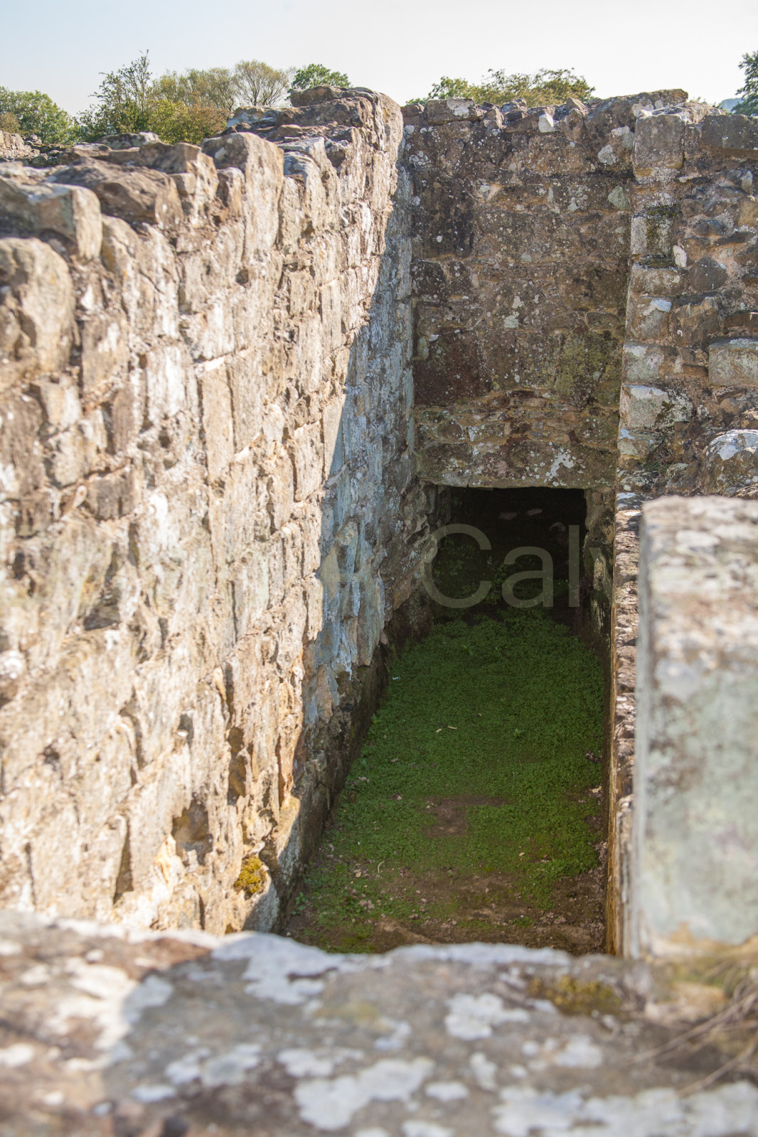 Byland_Abbey-054.jpg