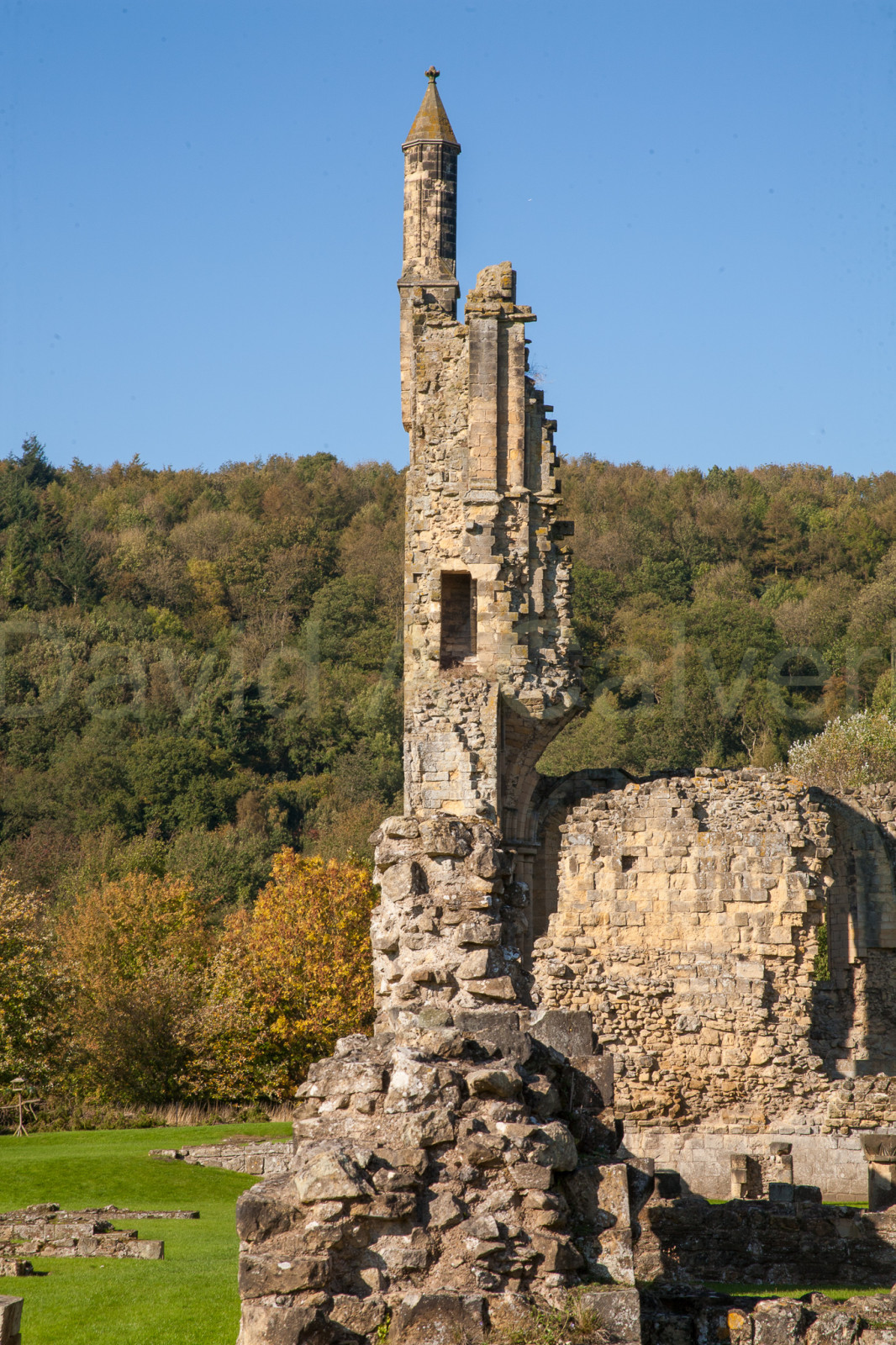 Byland_Abbey-062.jpg