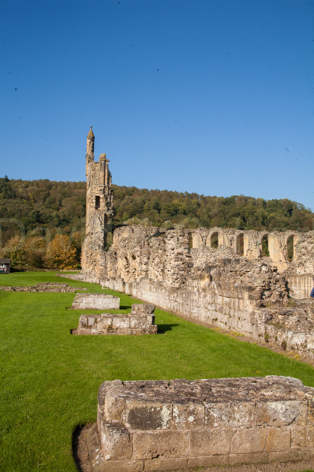 Byland_Abbey-063.jpg