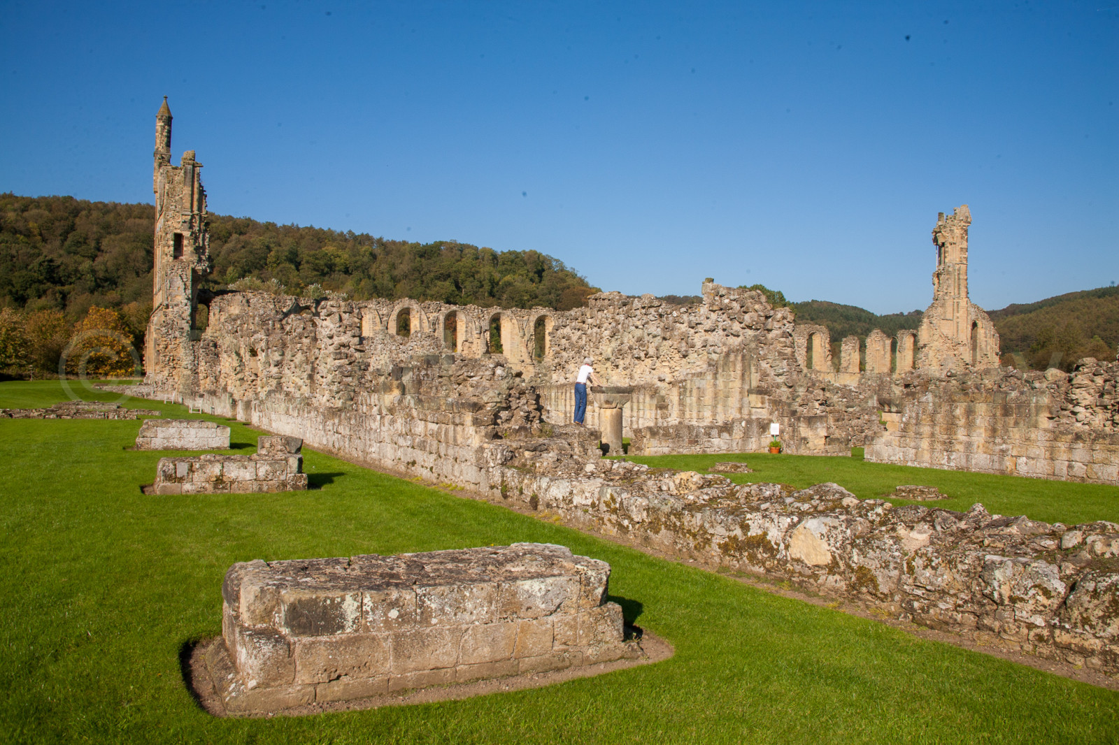 Byland_Abbey-064.jpg