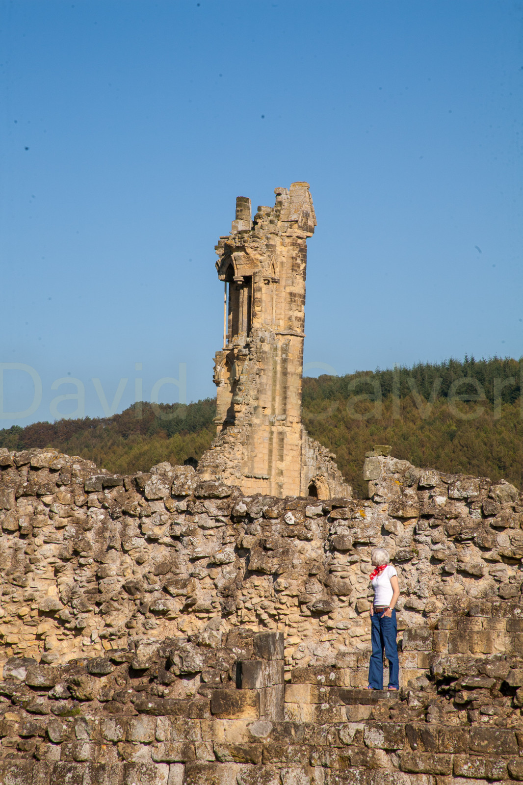 Byland_Abbey-067.jpg