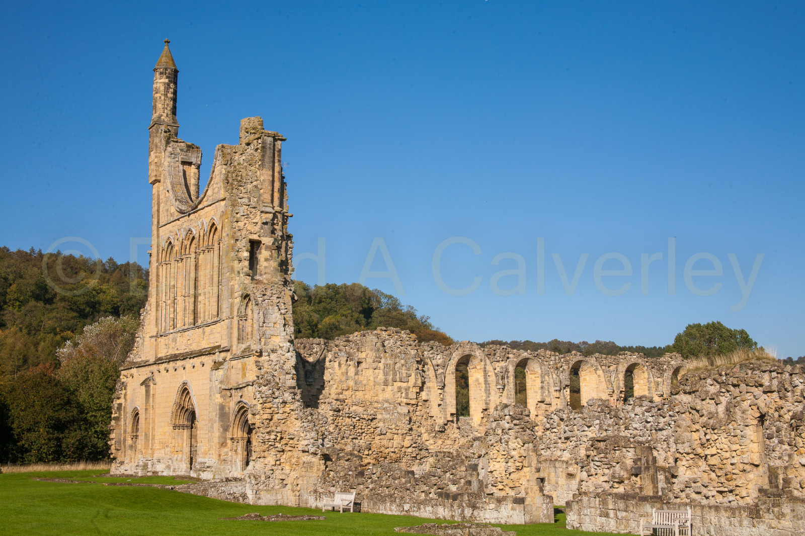 Byland_Abbey-070.jpg