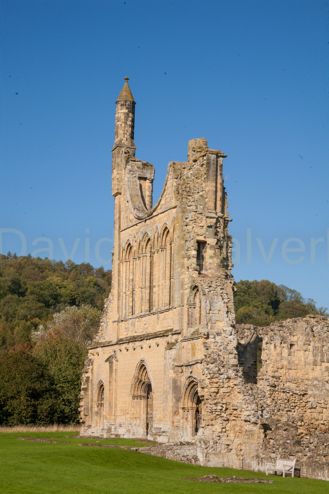 Byland_Abbey-071.jpg