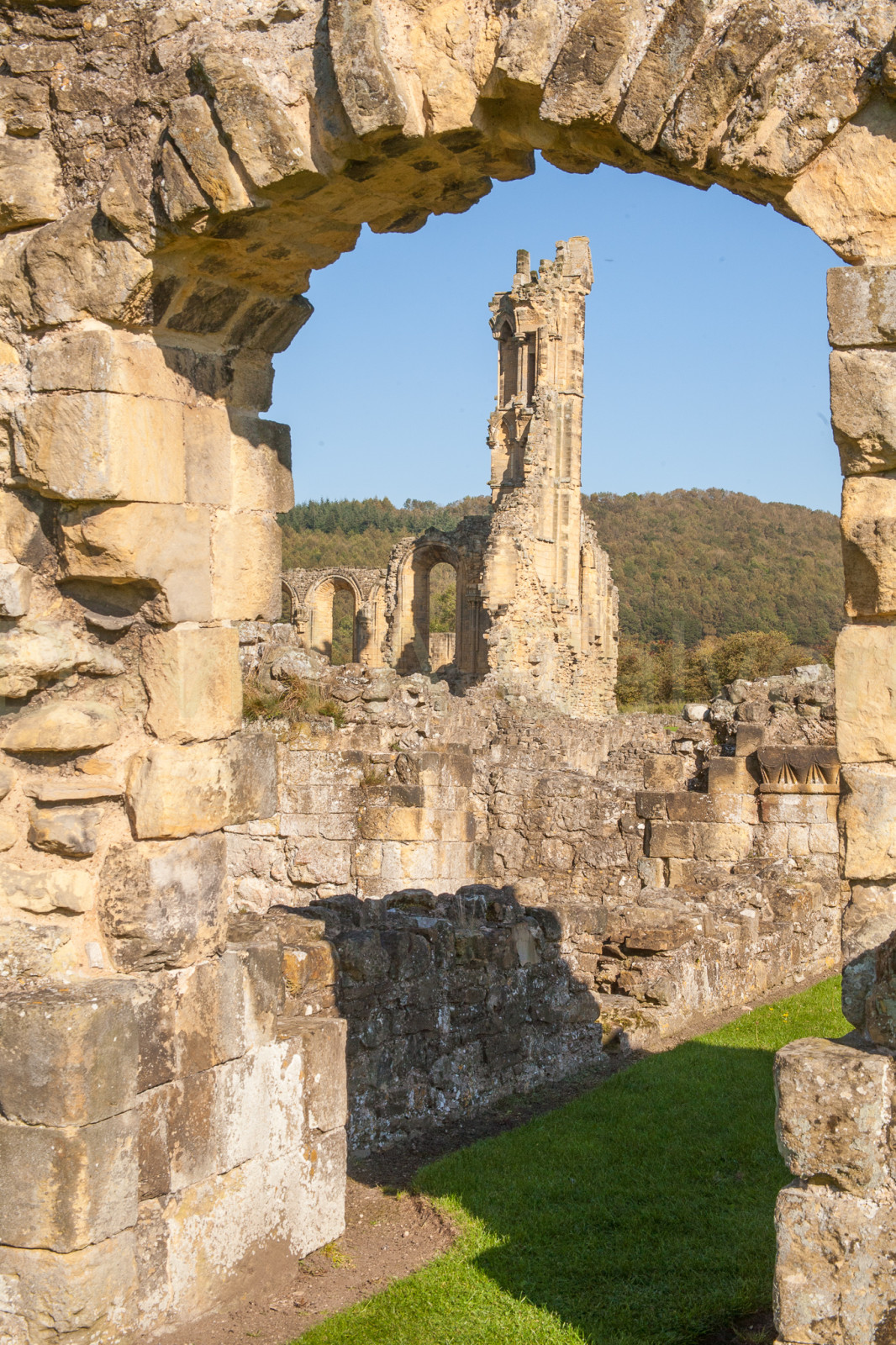 Byland_Abbey-073.jpg