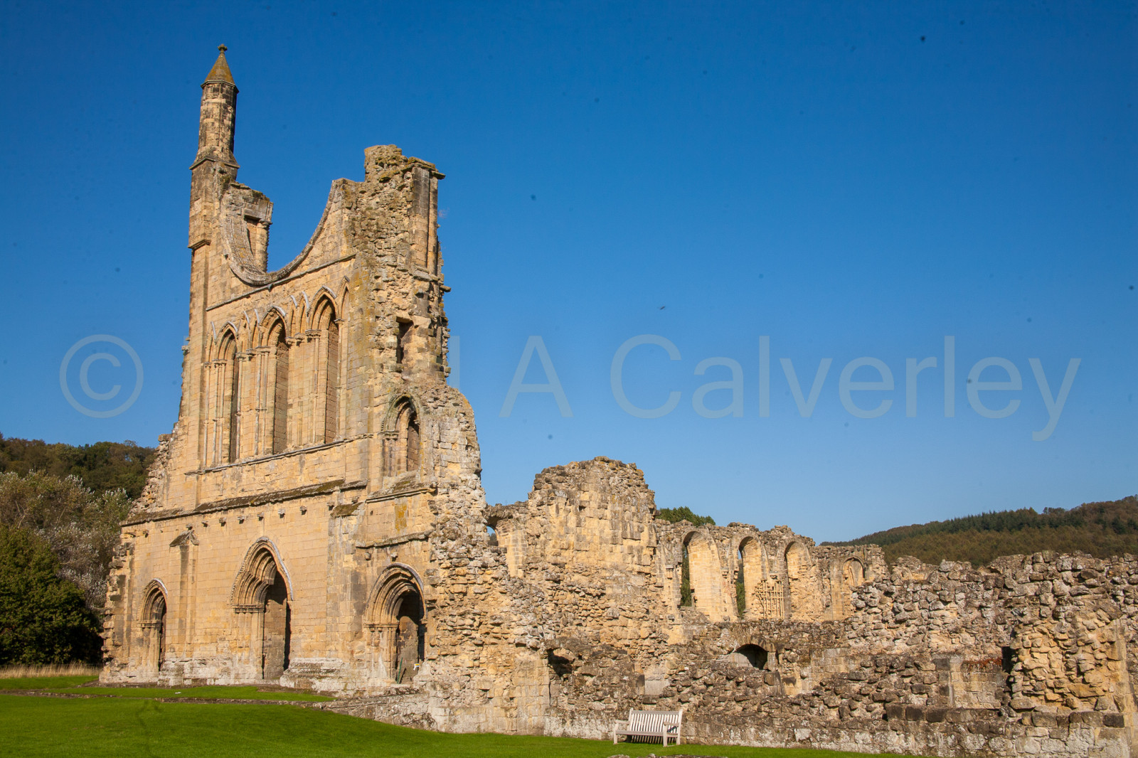 Byland_Abbey-074.jpg