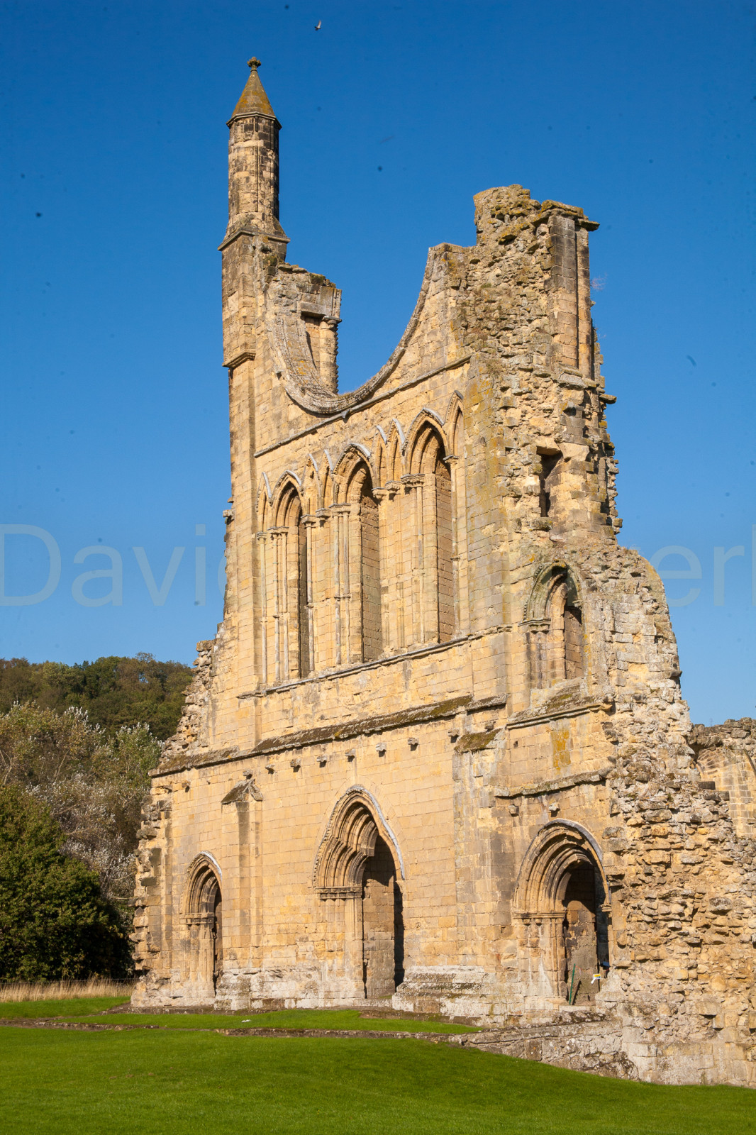 Byland_Abbey-076.jpg