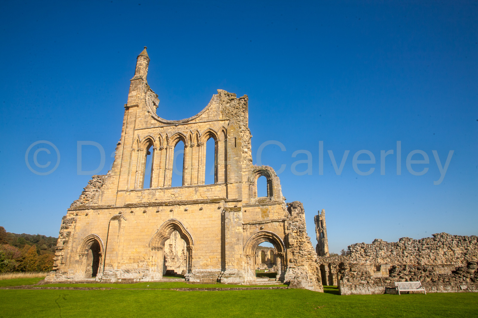 Byland_Abbey-078.jpg