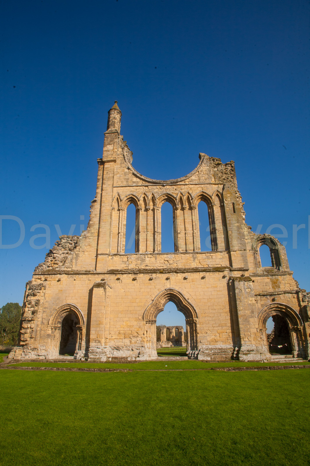 Byland_Abbey-079.jpg