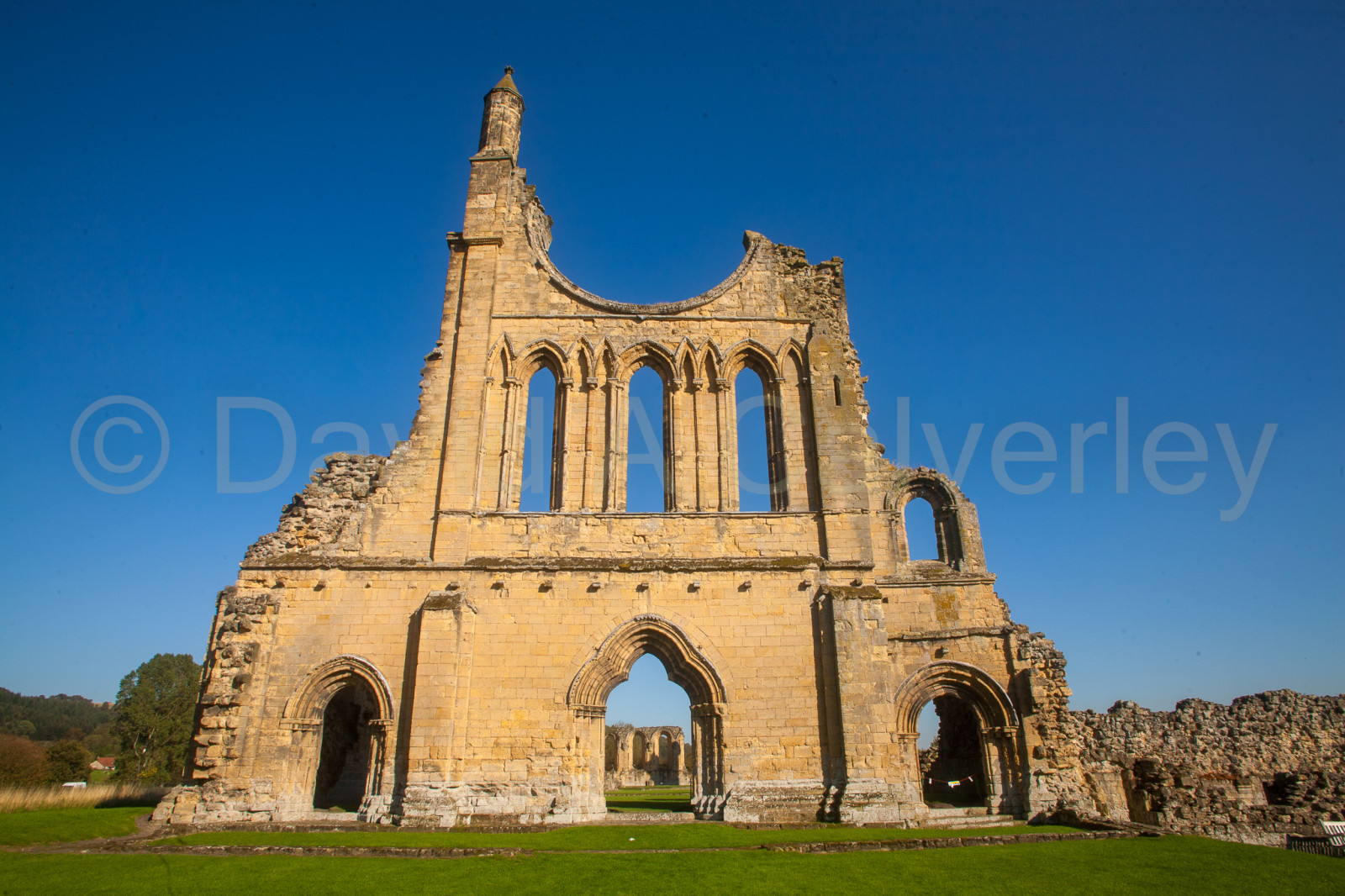 Byland_Abbey-080.jpg