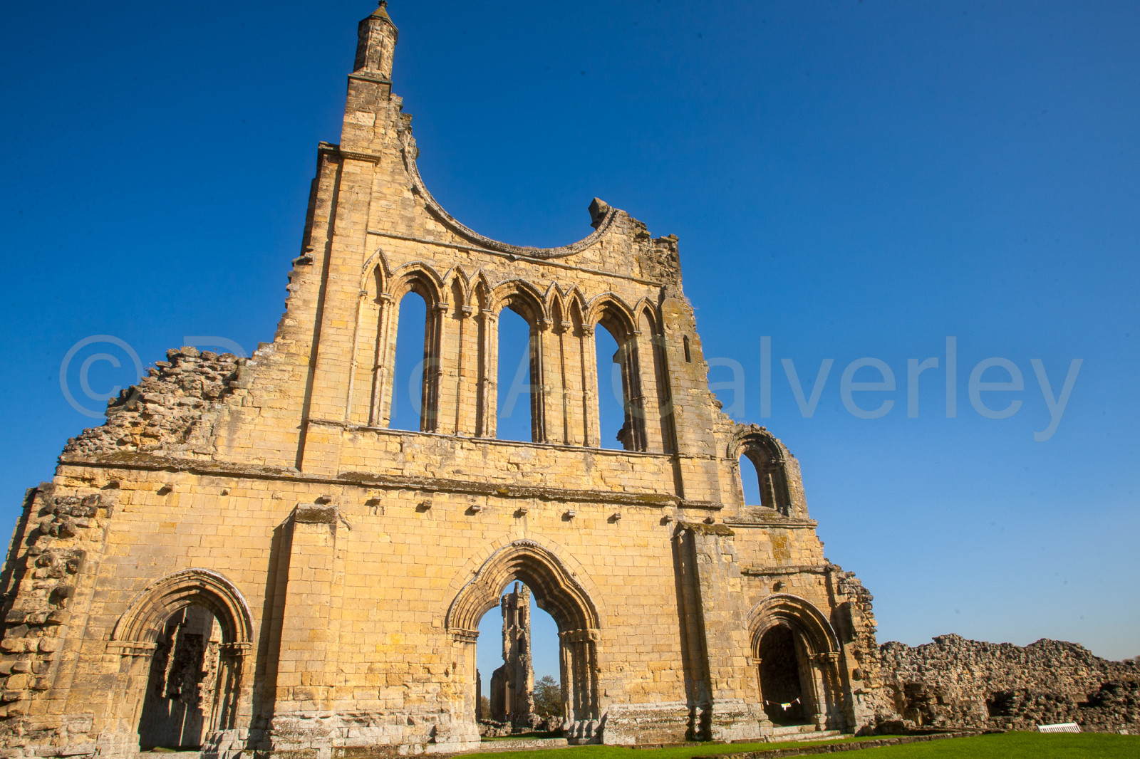 Byland_Abbey-082.jpg