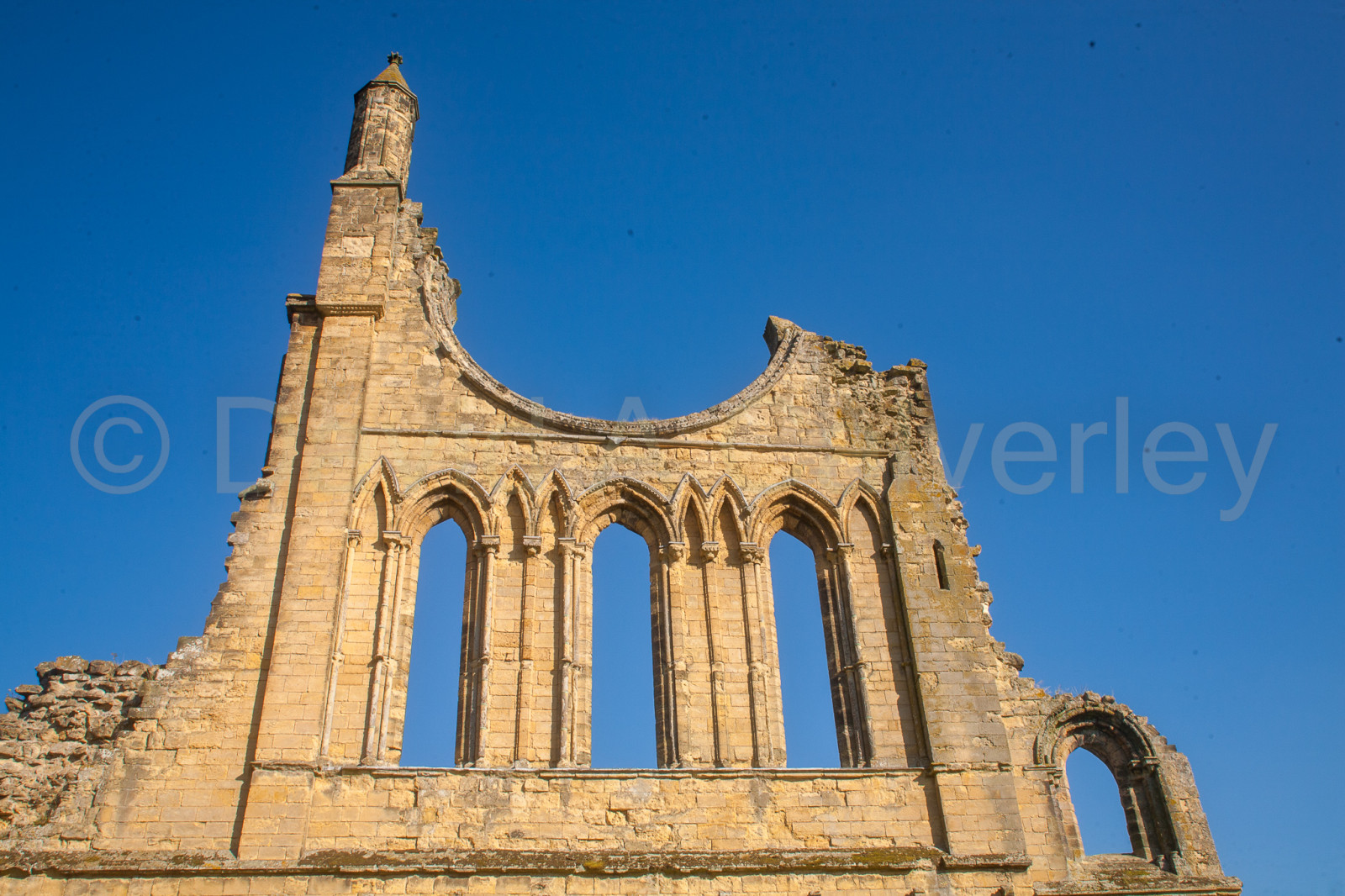 Byland_Abbey-083.jpg