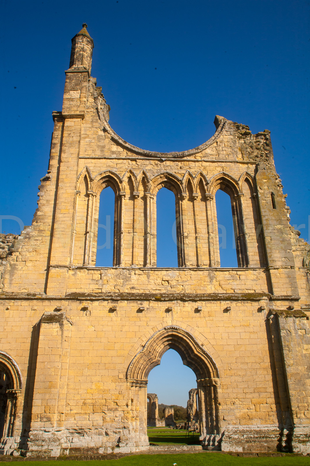 Byland_Abbey-084.jpg