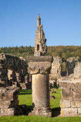 Byland_Abbey-059.jpg