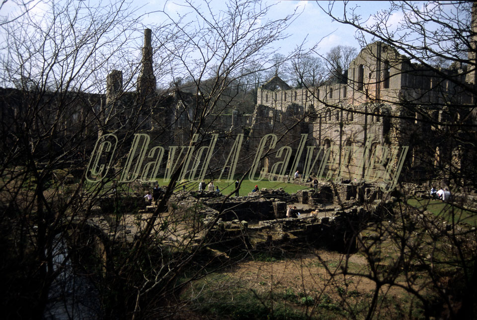 Fountain's_Abbey-017.jpg