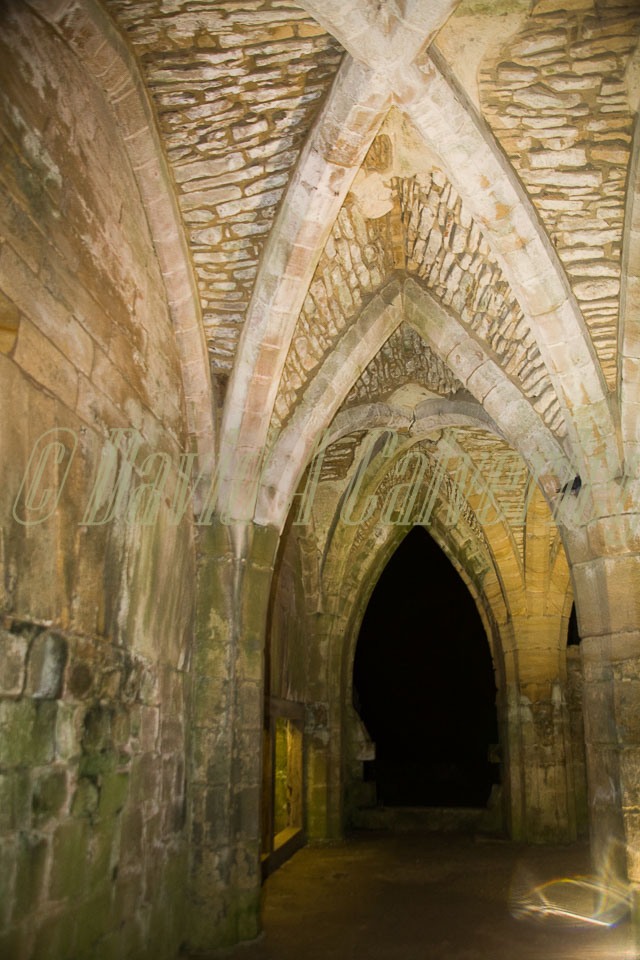 Fountain's_Abbey-068.jpg