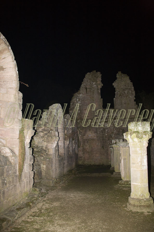 Fountain's_Abbey-081.jpg