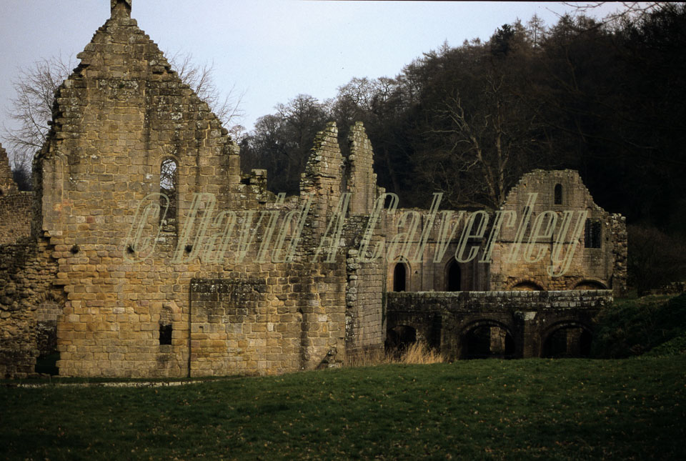 Fountain's_Abbey-088.jpg
