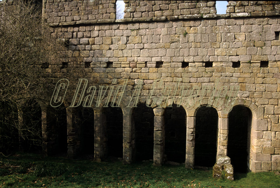 Fountain's_Abbey-090.jpg