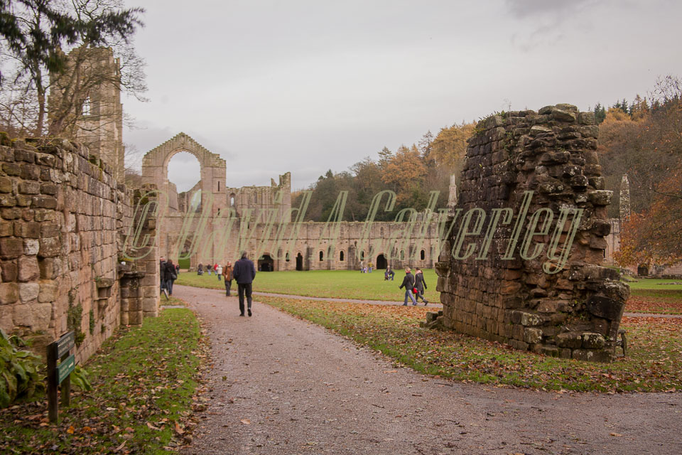 Fountain's_Abbey-093.jpg