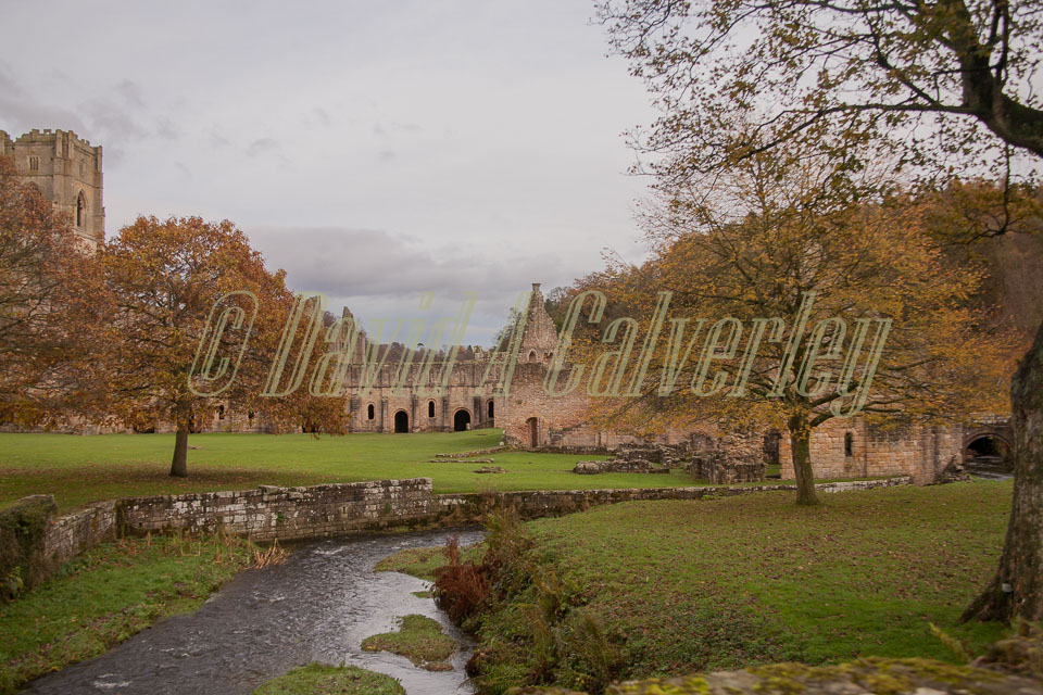 Fountain's_Abbey-095.jpg