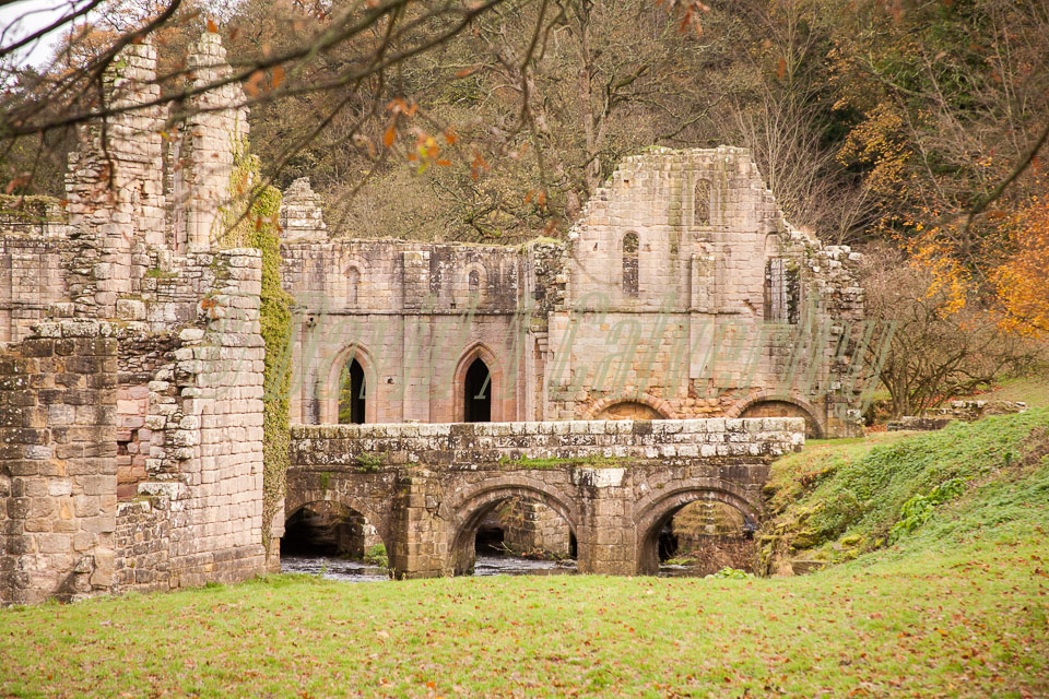 Fountain's_Abbey-096.jpg