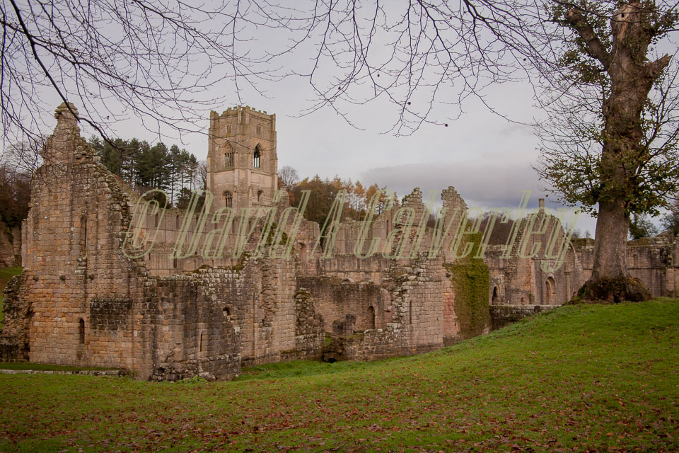 Fountain's_Abbey-097.jpg