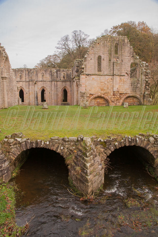Fountain's_Abbey-101.jpg