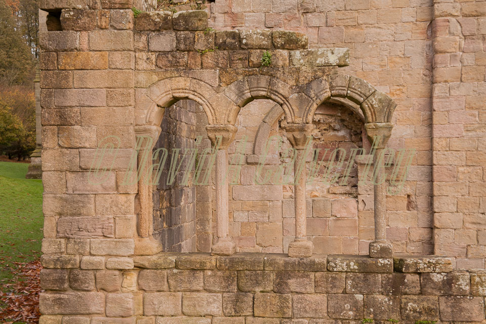 Fountain's_Abbey-105.jpg