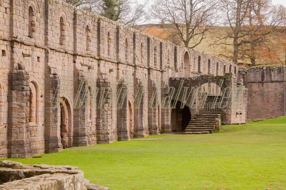Fountain's_Abbey-110.jpg