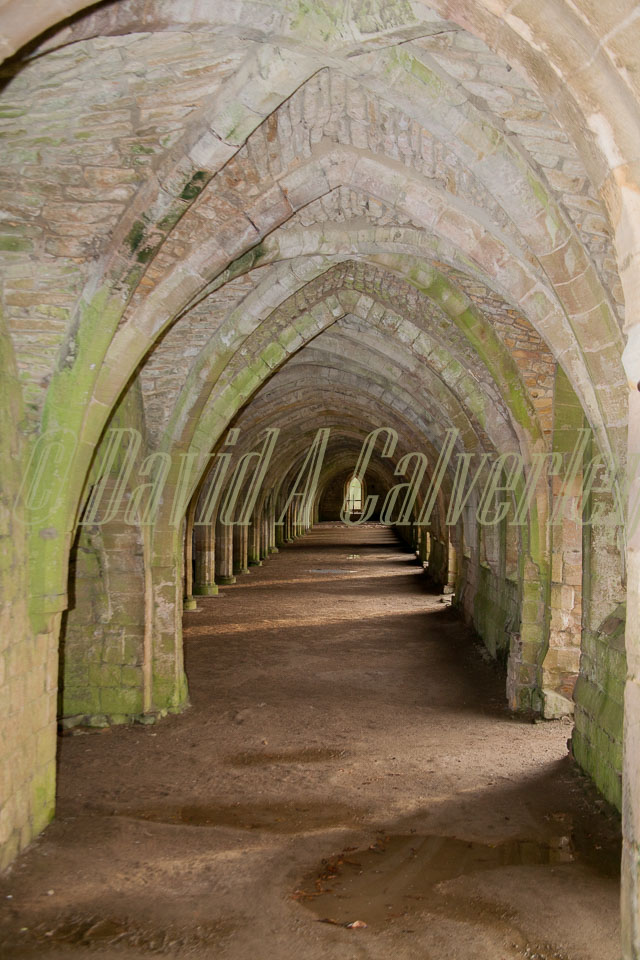 Fountain's_Abbey-115.jpg