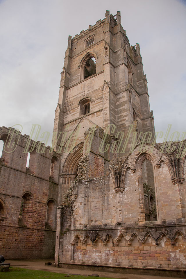 Fountain's_Abbey-119.jpg
