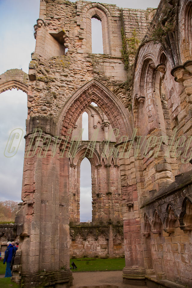 Fountain's_Abbey-120.jpg