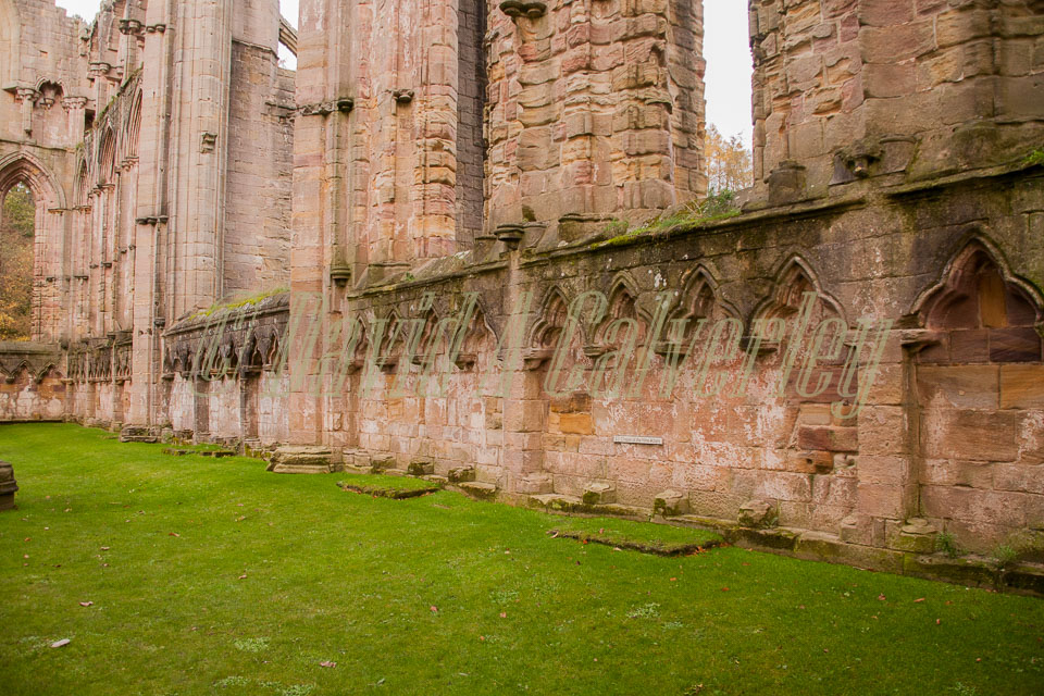 Fountain's_Abbey-122.jpg