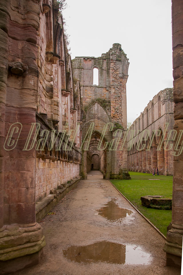 Fountain's_Abbey-123.jpg