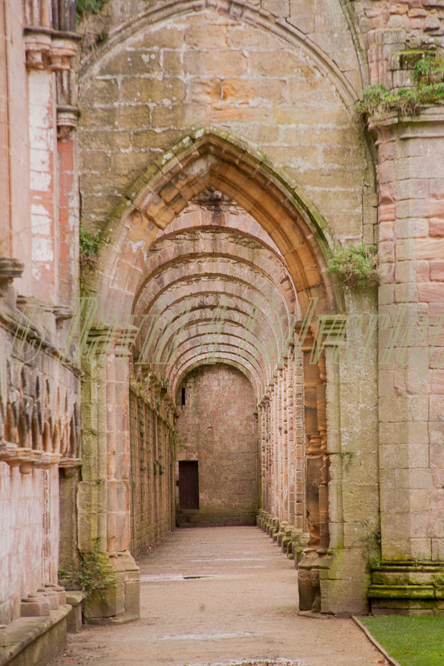 Fountain's_Abbey-124.jpg