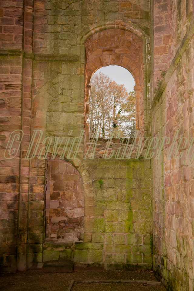 Fountain's_Abbey-129.jpg
