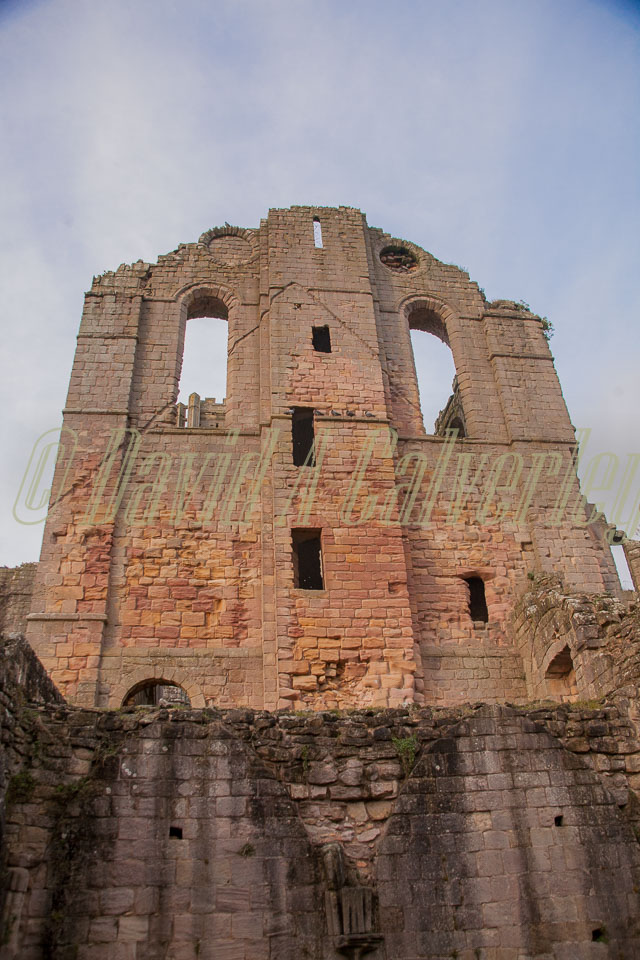 Fountain's_Abbey-133.jpg