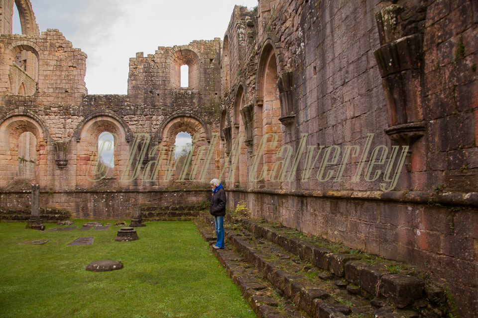 Fountain's_Abbey-134.jpg