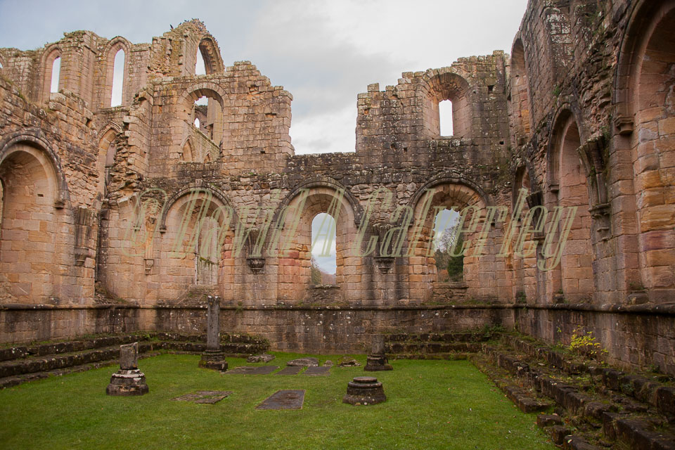 Fountain's_Abbey-136.jpg