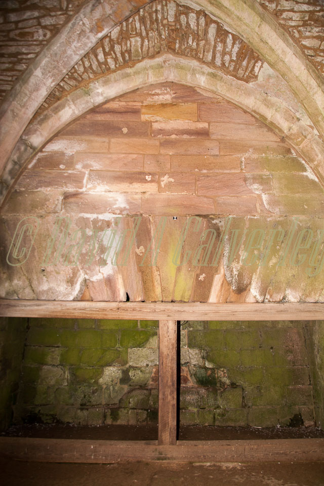 Fountain's_Abbey-138.jpg
