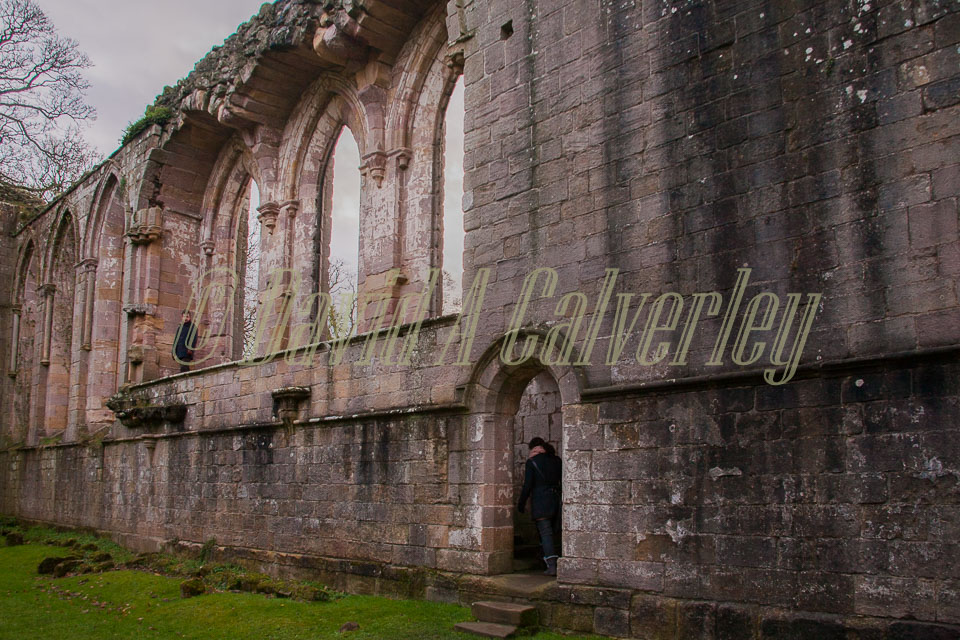 Fountain's_Abbey-144.jpg