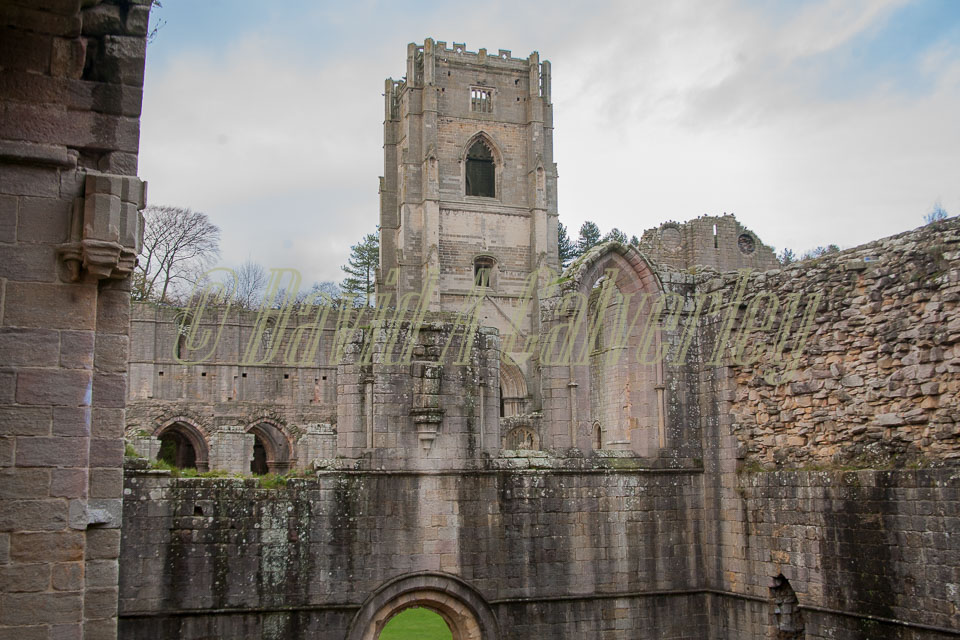 Fountain's_Abbey-147.jpg