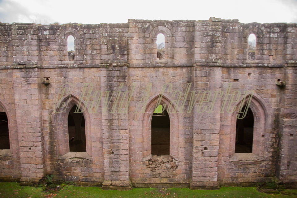 Fountain's_Abbey-148.jpg
