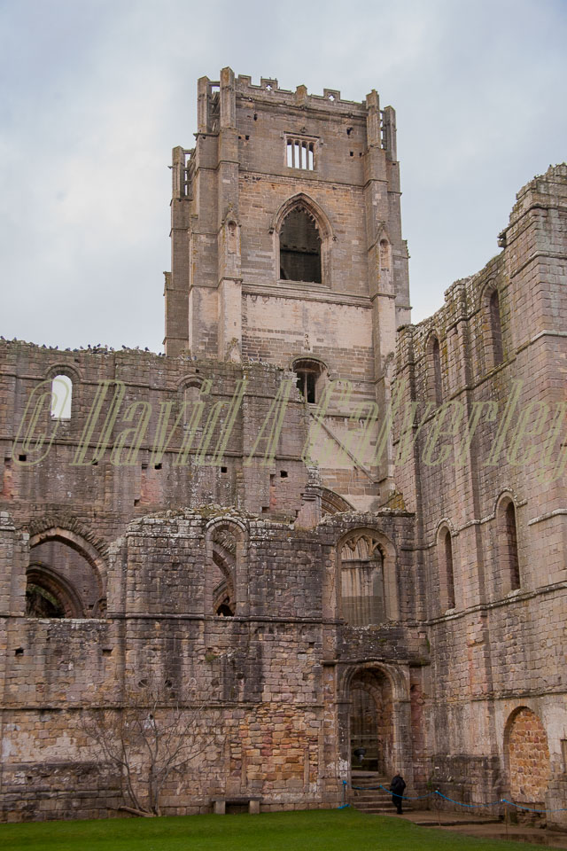 Fountain's_Abbey-150.jpg