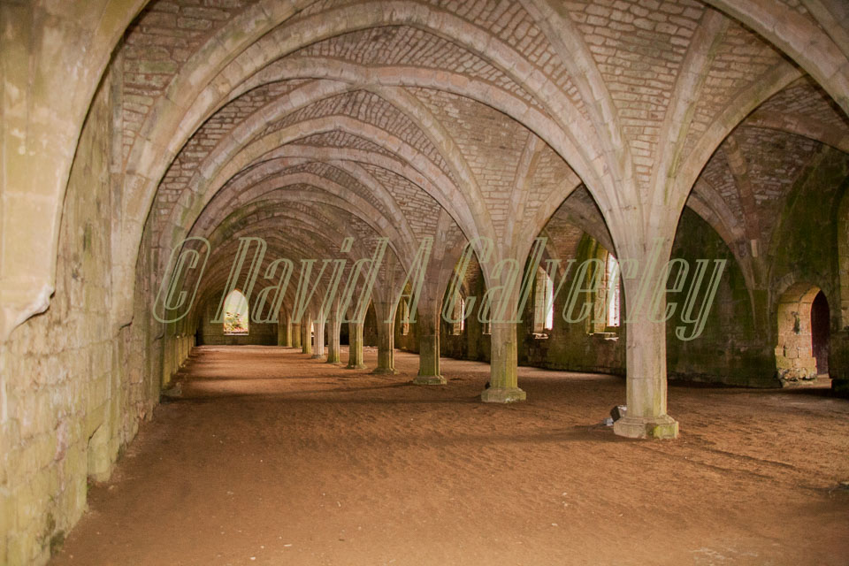 Fountain's_Abbey-154.jpg