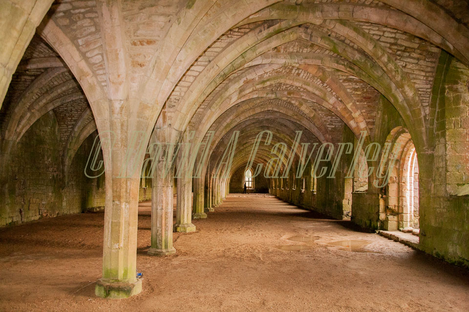 Fountain's_Abbey-155.jpg
